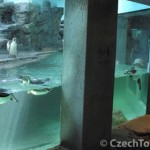zoo-praha-main